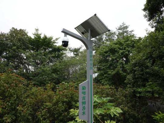 保护古树名木摄像头 保护古树名木摄像头