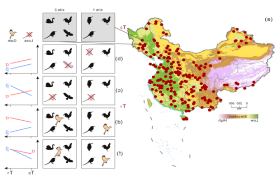 自动转存图片
