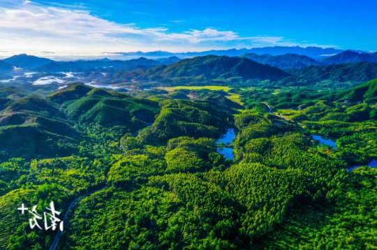 莲花山。 通讯员 林荫 供图