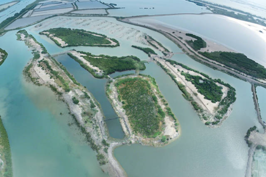 湛江探索 湛江探索