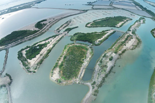 湛江探索 湛江探索
