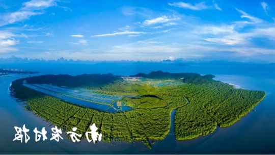 珠海淇澳红树植物园 珠海淇澳红树植物园