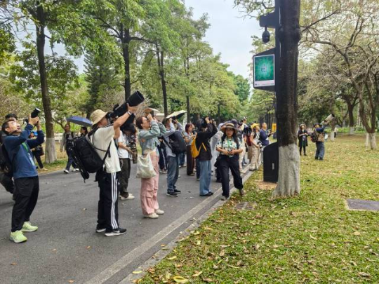 广东观鸟拍鸟营广州站。 广东观鸟拍鸟营广州站。
