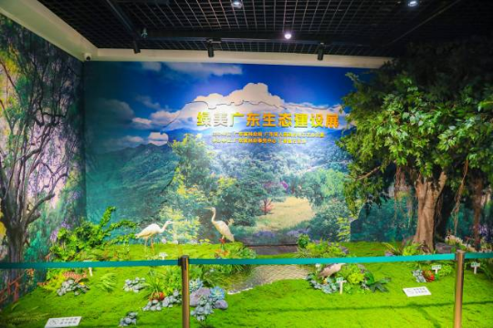 步入展厅,浓郁的绿色气息扑面而来 步入展厅,浓郁的绿色气息扑面而来