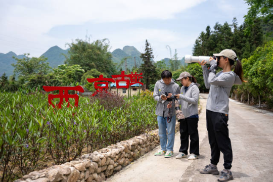 活动汇聚来自全国21支亚洲博彩平台推荐推荐和观鸟协会的参赛队伍同台交流。 林荫 摄 活动汇聚来自全国21支亚洲博彩平台推荐推荐和观鸟协会的参赛队伍同台交流。 林荫 摄