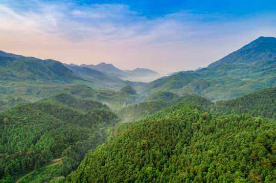 如今,岳山造林光荣传统激励着一代代肇庆人对绿色的热爱与追求。伍尚慧摄 如今,岳山造林光荣传统激励着一代代肇庆人对绿色的热爱与追求。伍尚慧摄