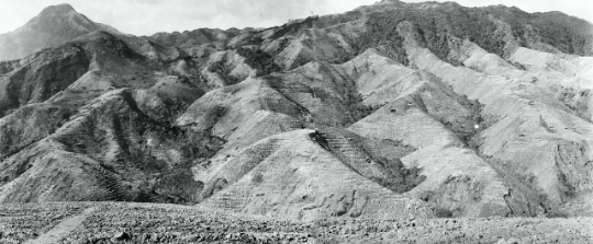 20世纪70年代初,岳山林场因过度砍伐生态破坏严重,自然灾害频发。资料图片 20世纪70年代初,岳山林场因过度砍伐生态破坏严重,自然灾害频发。资料图片