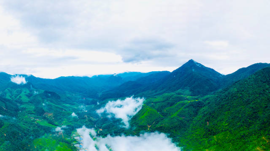 如今,三岳省级自然保护区(前身为岳山林场),已成为肇庆生态文明建设的样板。 梁恒志摄 如今,三岳省级自然保护区(前身为岳山林场),已成为肇庆生态文明建设的样板。 梁恒志摄