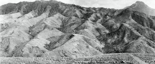 20世纪70年代初,岳山林场因过度砍伐生态破坏严重,自然灾害频发。资料图片 20世纪70年代初,岳山林场因过度砍伐生态破坏严重,自然灾害频发。资料图片