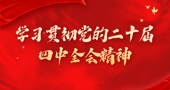 学习贯彻党的二十届四中全会精神