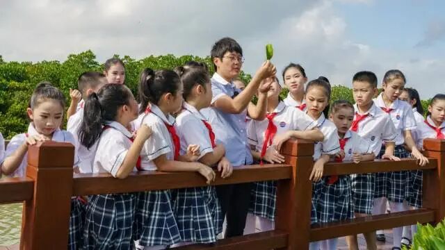 广东湛江红树林亚洲博彩平台排名推荐开展自然教育活动