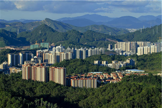 惠州市森林进城.jpg