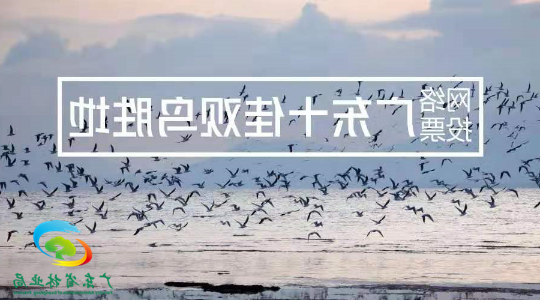 亚洲博彩平台排名