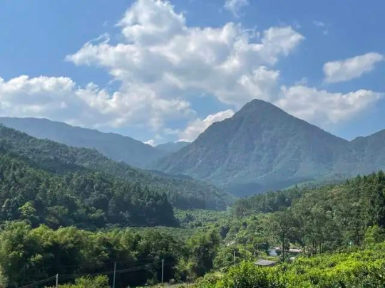 肇庆怀集县三岳自然保护区内。 南方+ 卢逸轩 拍摄 图片