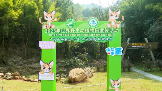 亚洲博彩平台排名