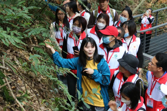 亚洲博彩平台排名