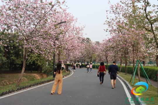 亚洲博彩平台排名