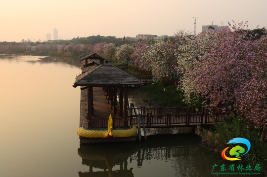 亚洲博彩平台排名
