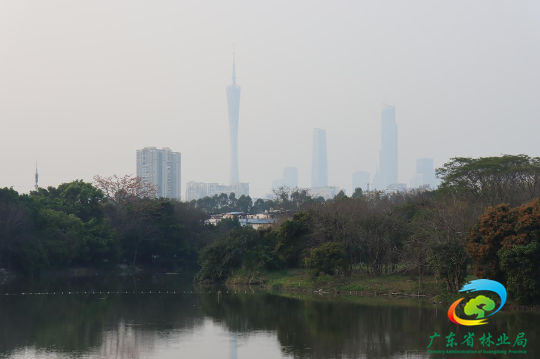 亚洲博彩平台排名