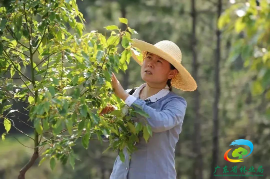 亚洲博彩平台排名