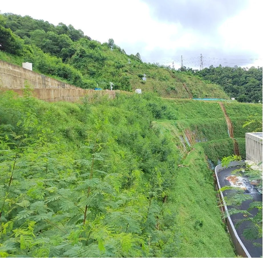 亚洲博彩平台排名