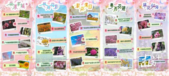 南方+ 陈薇 拍摄