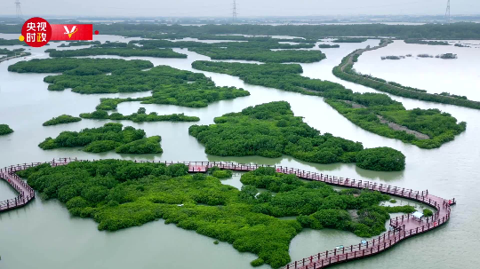 亚洲博彩平台排名