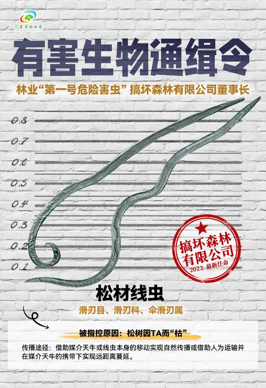 亚洲博彩平台排名