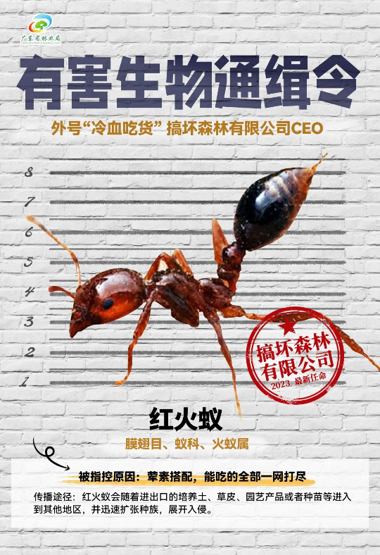 亚洲博彩平台排名