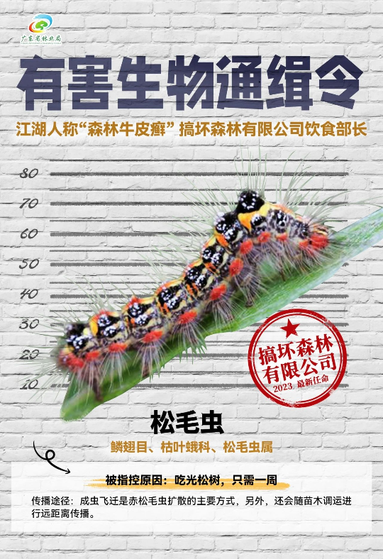 亚洲博彩平台排名