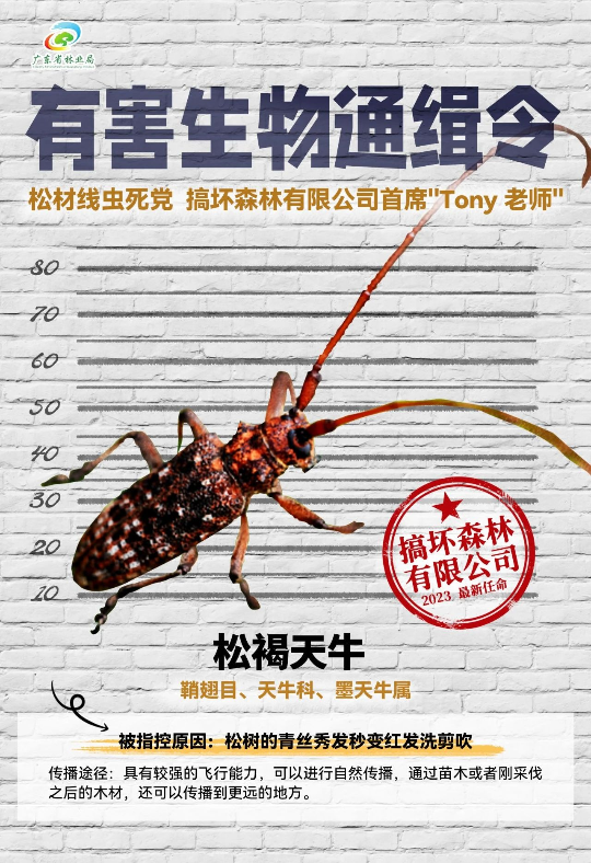 亚洲博彩平台排名