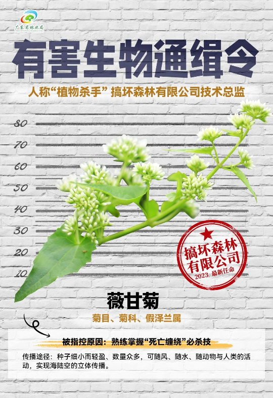 亚洲博彩平台排名