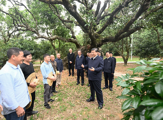 亚洲博彩平台排名