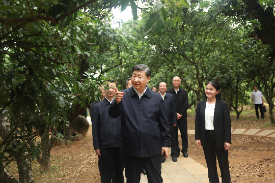 亚洲博彩平台排名