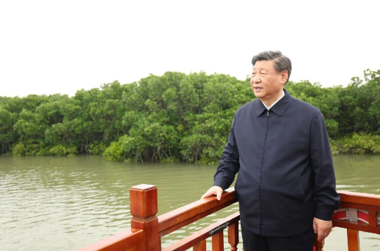 亚洲博彩平台排名