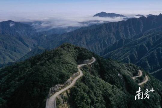 南岭风光。 南岭风光。