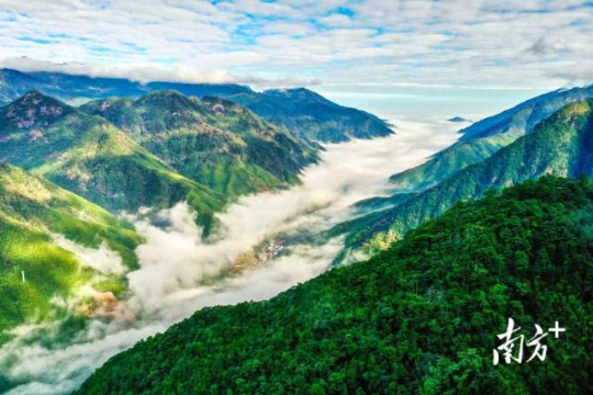 武夷山断裂带。 武夷山断裂带。