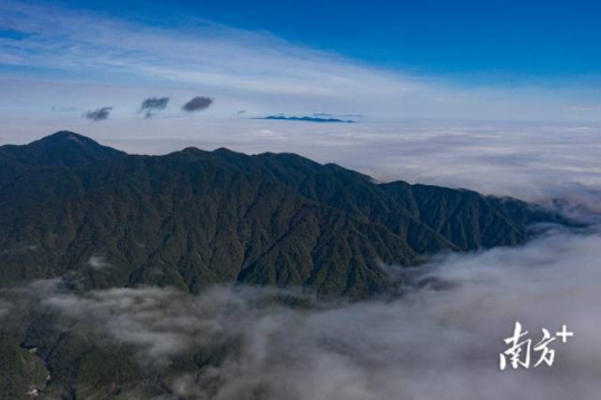 南岭风光。 南岭风光。