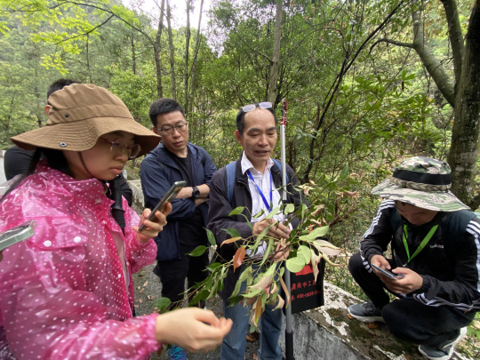 亚洲博彩平台排名