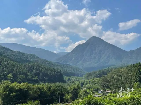 亚洲博彩平台排名