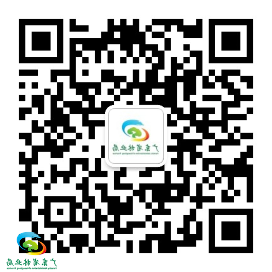 亚洲博彩平台排名