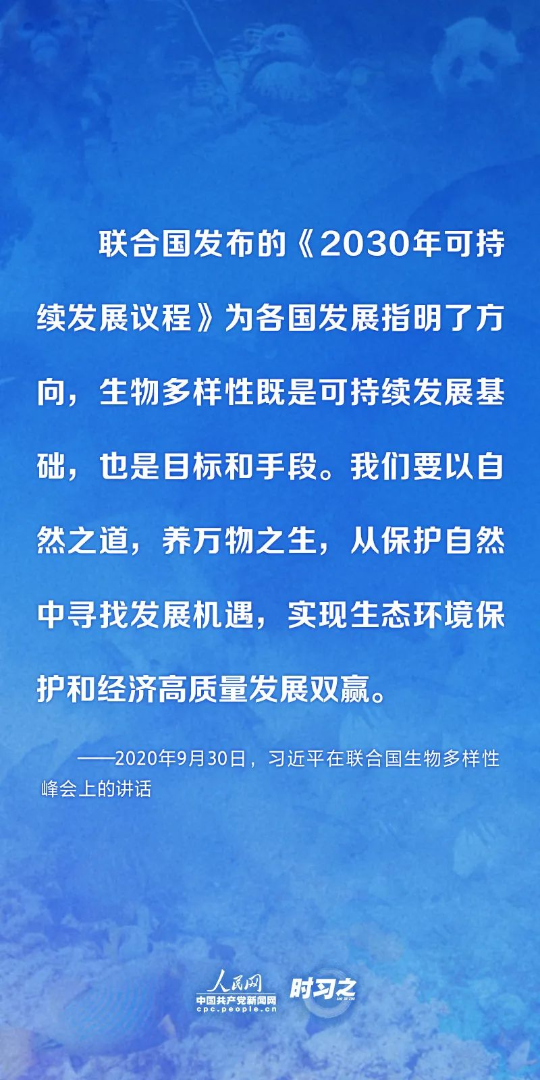 亚洲博彩平台排名
