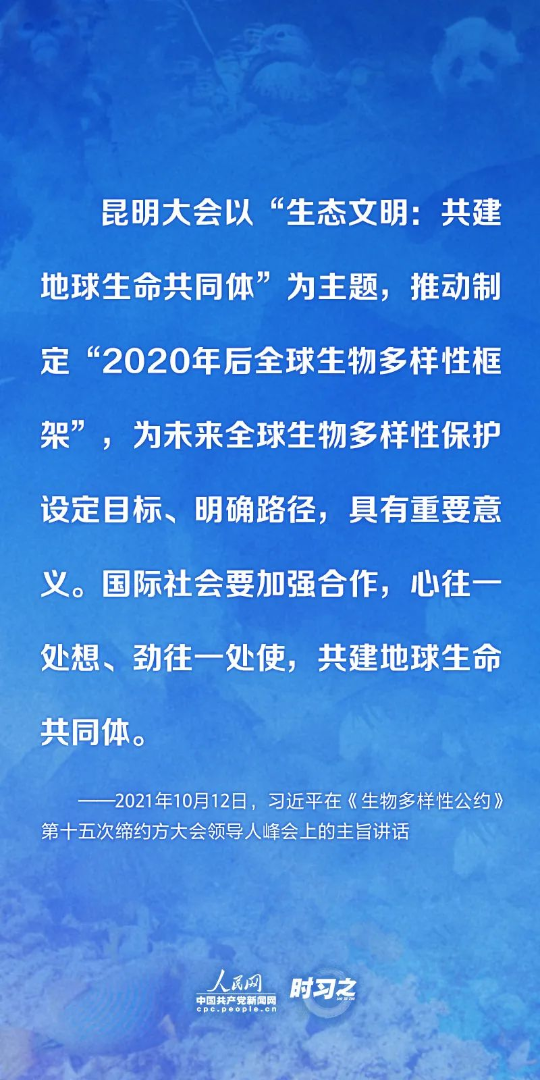 亚洲博彩平台排名