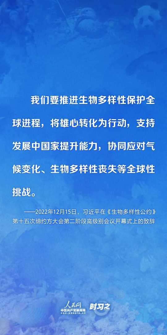 亚洲博彩平台排名