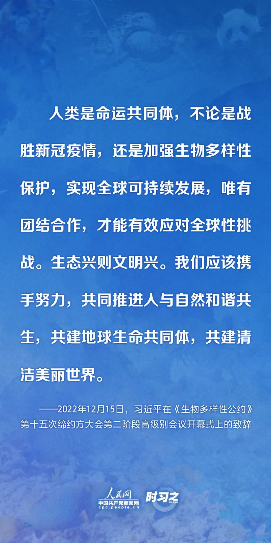 亚洲博彩平台排名