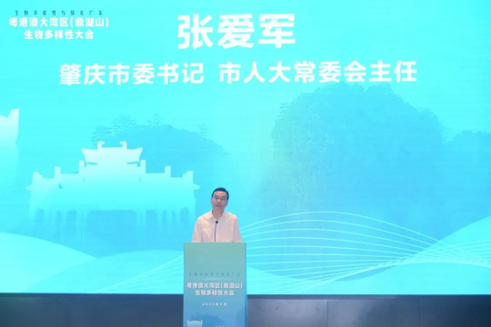 亚洲博彩平台排名