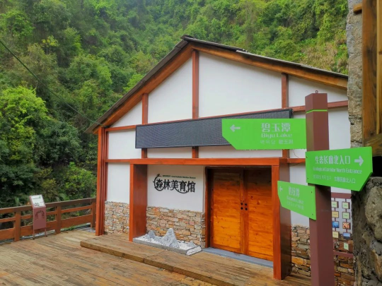 亚洲博彩平台排名