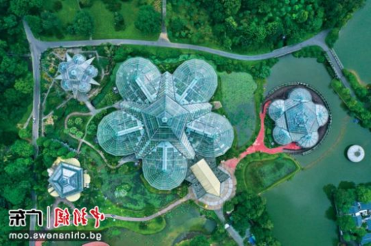华南国家植物园。受访者供图 华南国家植物园。受访者供图