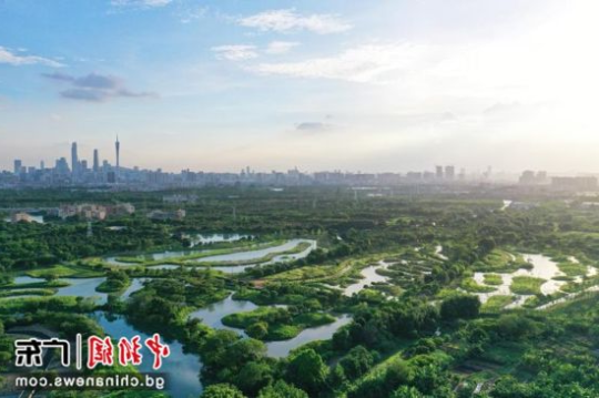 广东广州海珠国家湿地公园。受访者 供图 广东广州海珠国家湿地公园。受访者 供图