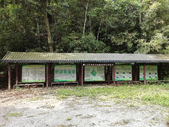韶关市始兴县国有刘张家山林场 (4).jpg
